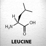leucine 12:1:1 loaded supplement
